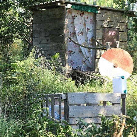 Tipi Lodge Dans La Foret Mimizan Bagian luar foto