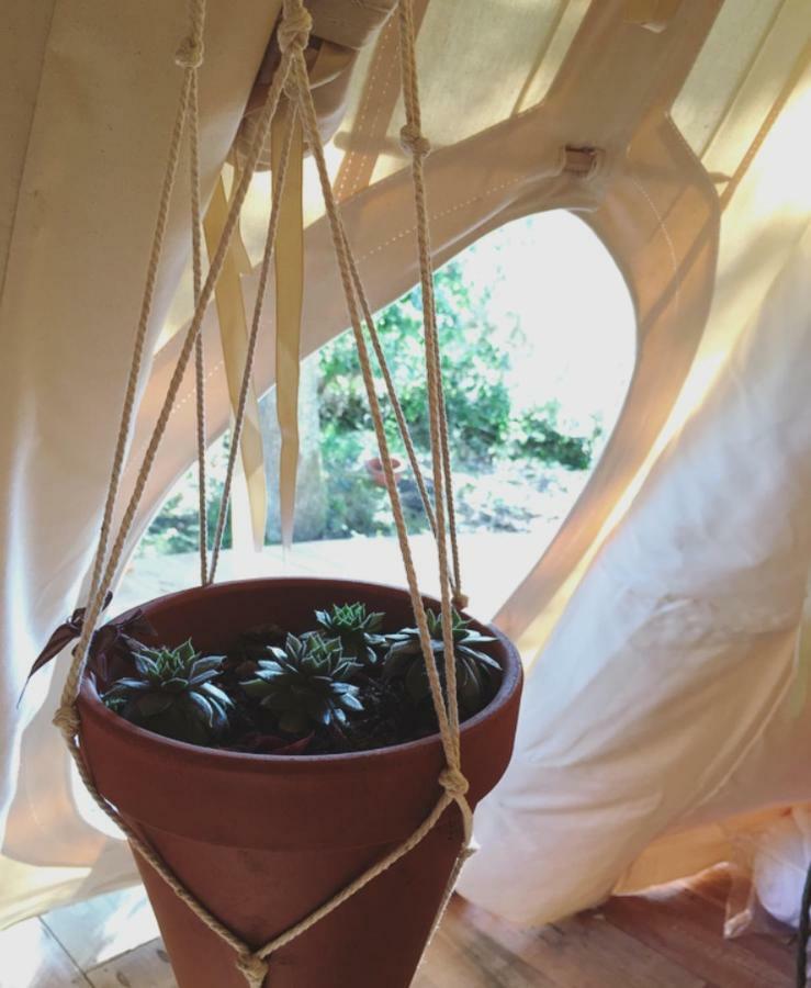Tipi Lodge Dans La Foret Mimizan Bagian luar foto